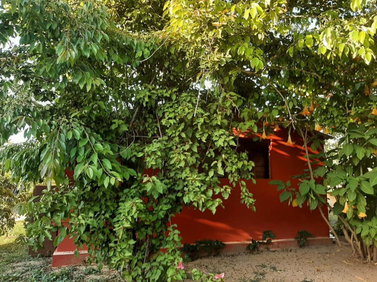 Casa Di Campagna Dal Pozzo Sorso Exterior photo